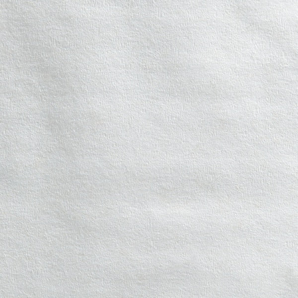 Toilet Paper, 8 PK