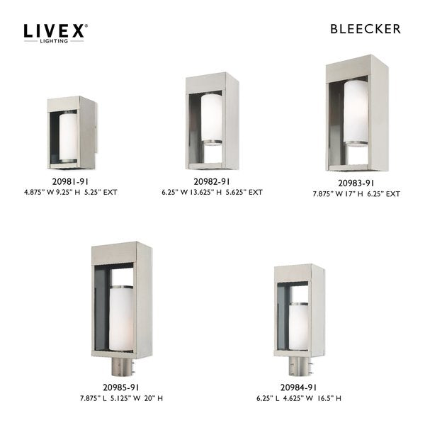 Bleecker 1 Light Brushed Nickel Outdoor Wall Lantern