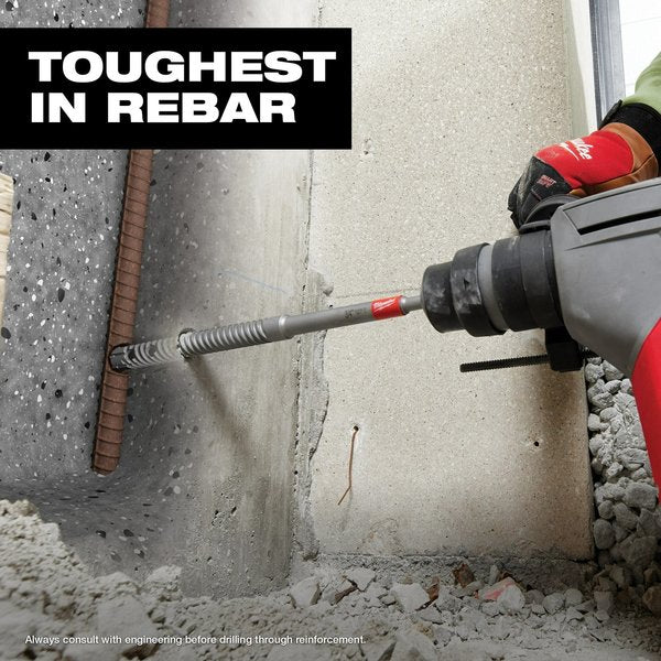 13/16 in. x 12 in. SDS-Plus Rebar Cutter