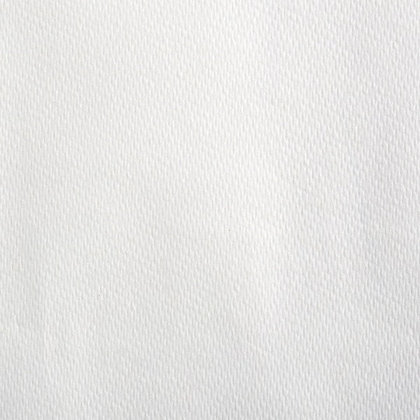 Pacific Blue Select Hardwound Paper Towels, 1, Continuous Roll, 1000 ft, White, 6 PK
