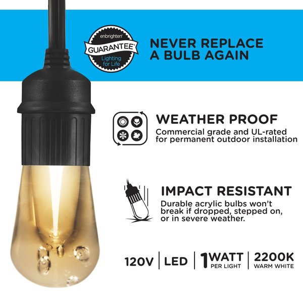 Seasons Cafe Lights, 48 ft., 24 Bulbs