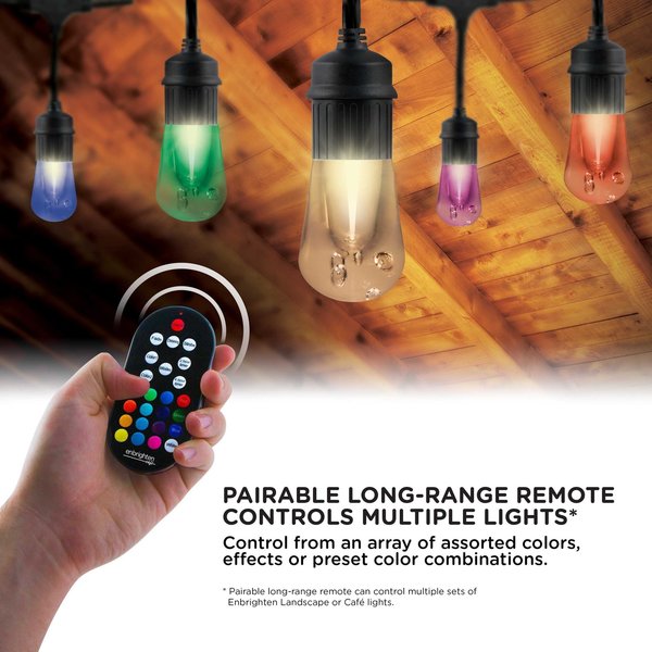 Seasons Cafe Lights, 48 ft., 24 Bulbs
