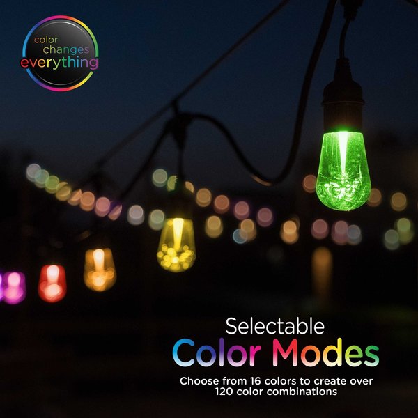 Seasons Cafe Lights, 48 ft., 24 Bulbs