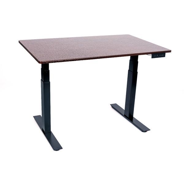 Dual Motor Electric Stand Up Desk, 3-Stage, 48