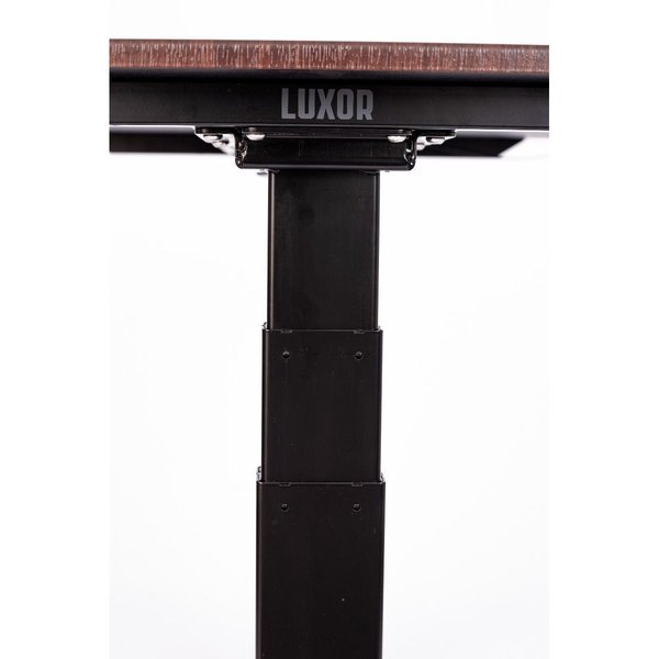 Dual Motor Electric Stand Up Desk, 3-Stage, 48