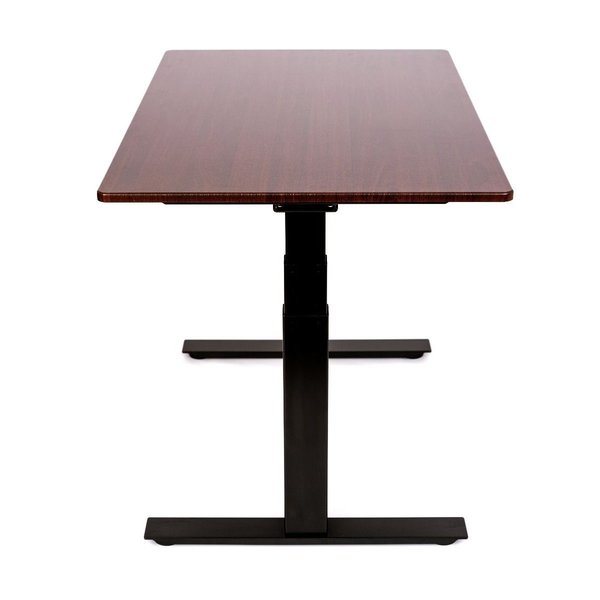 Dual Motor Electric Stand Up Desk, 3-Stage, 48