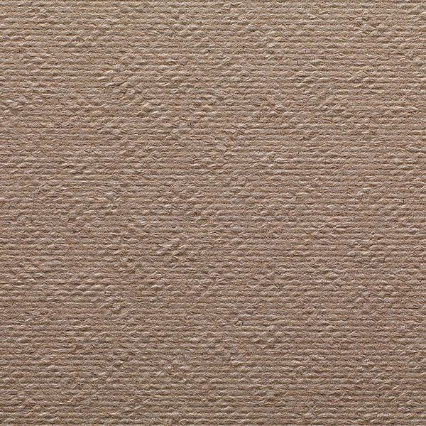 Pacific Blue Basic Hardwound Paper Towels, Continuous Roll, 7 7/8 in W, 350 ft L, Brown, 12 Pack