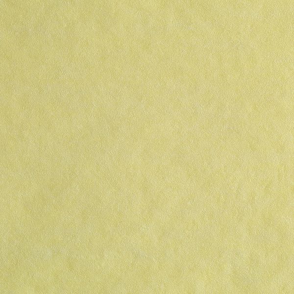 Rayon Dust Cloth 17