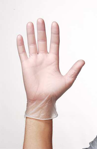 Vinyl Exam Gloves, Vinyl, Powder Free, Clear, L, 100 PK
