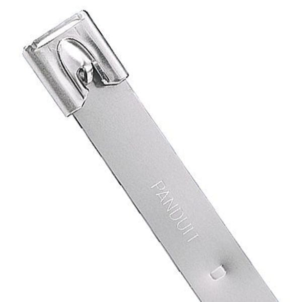Stainless Steel Cable Tie, 42.2