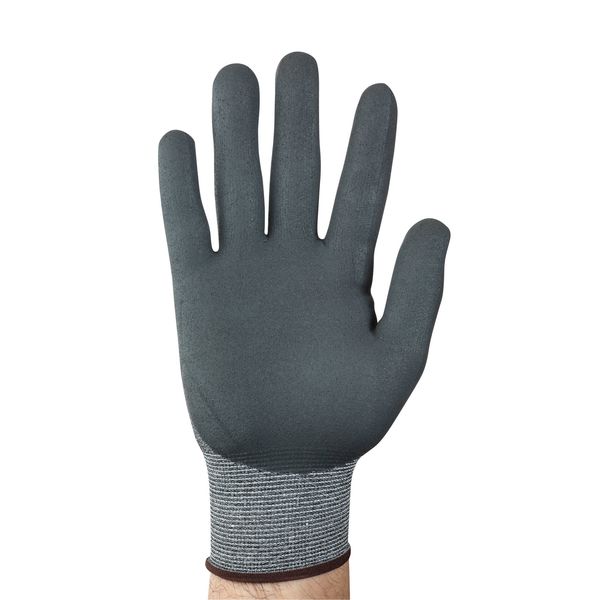 Cut Resistant Coated Gloves, A2 Cut Level, Nitrile, M, 1 PR