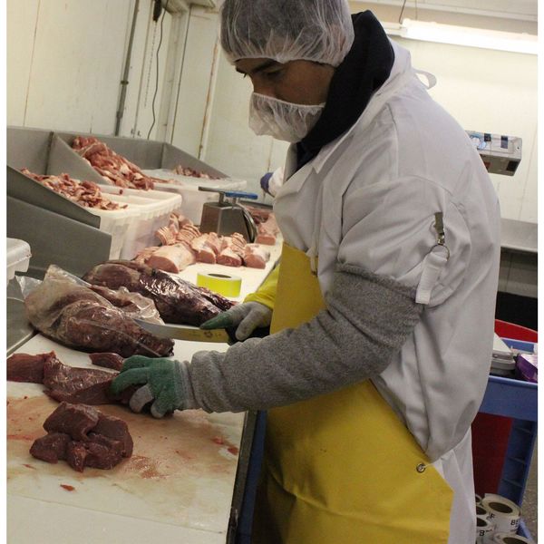 Cut Resistant Gloves, A4 Cut Level, Uncoated, M, 1 PR