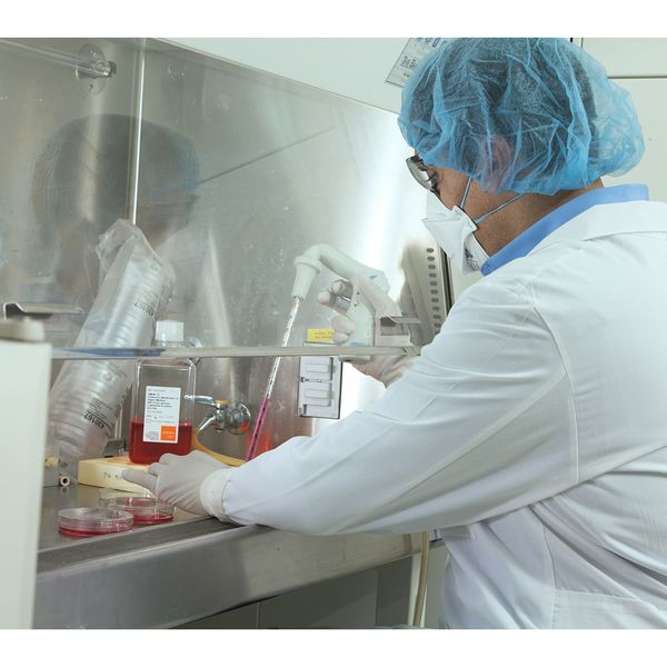 Strl Clnrm Glvs, Polyisoprene, 7.5, PK200