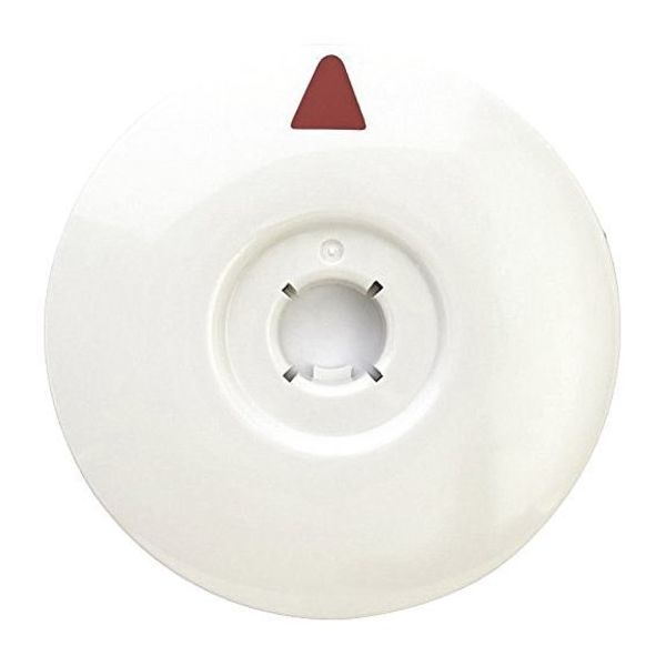 Dial, Timer